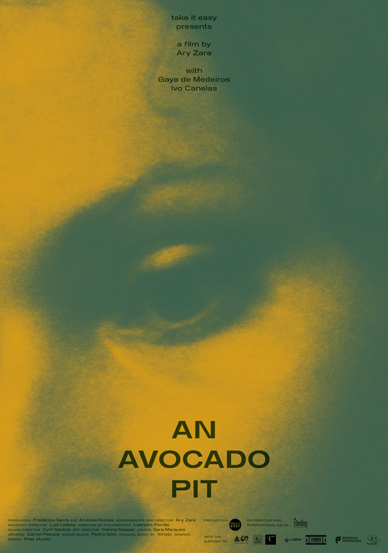 An Avocado Pit 
