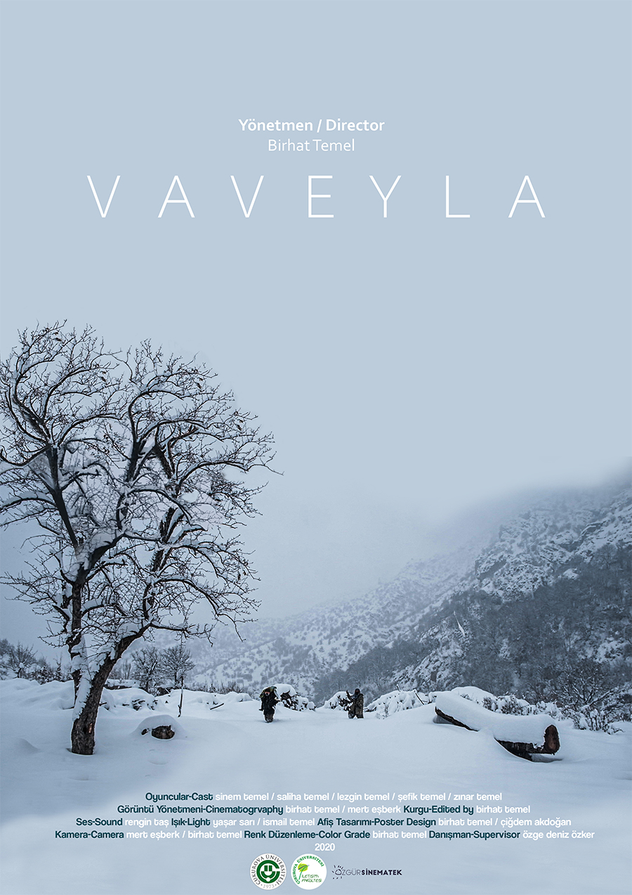Vaveyla