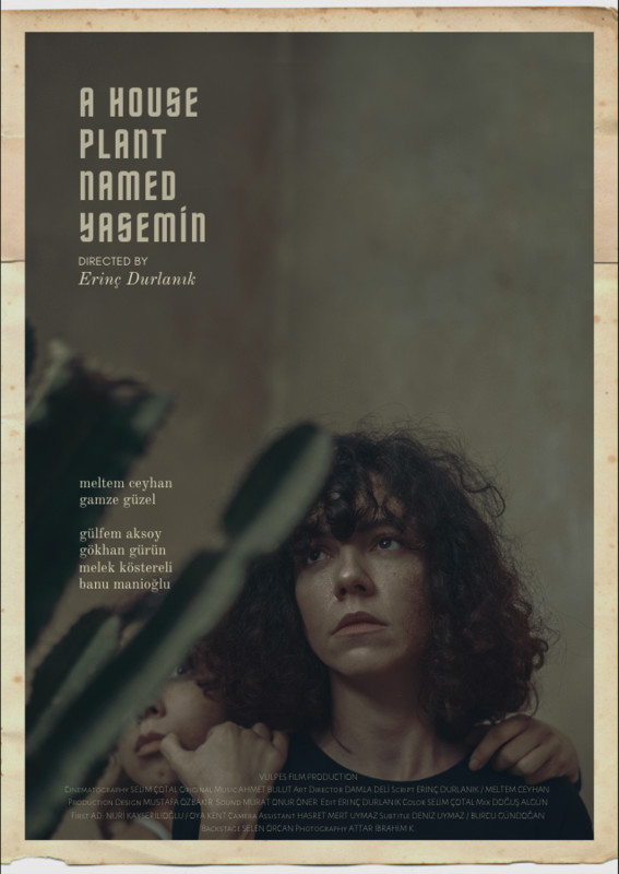 Yasemin Adında Bir Salon Bitkisi