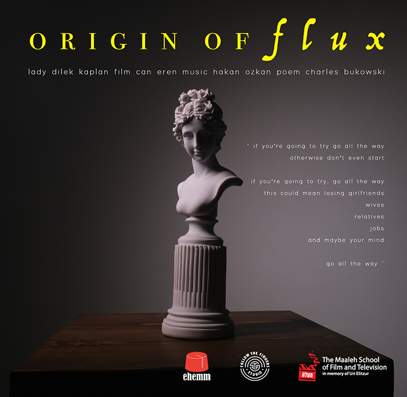 Origin of Flux