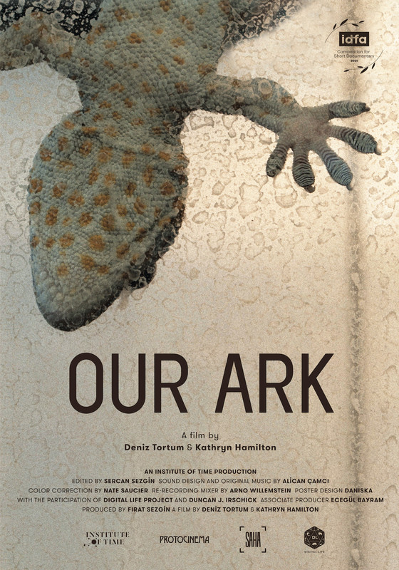 OUR ARK 