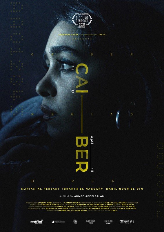 CAI-BER 