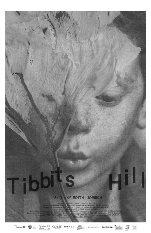 TİBBİTS HİLL 