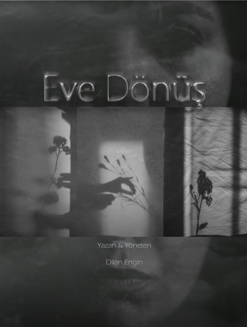 EVE DÖNÜŞ 