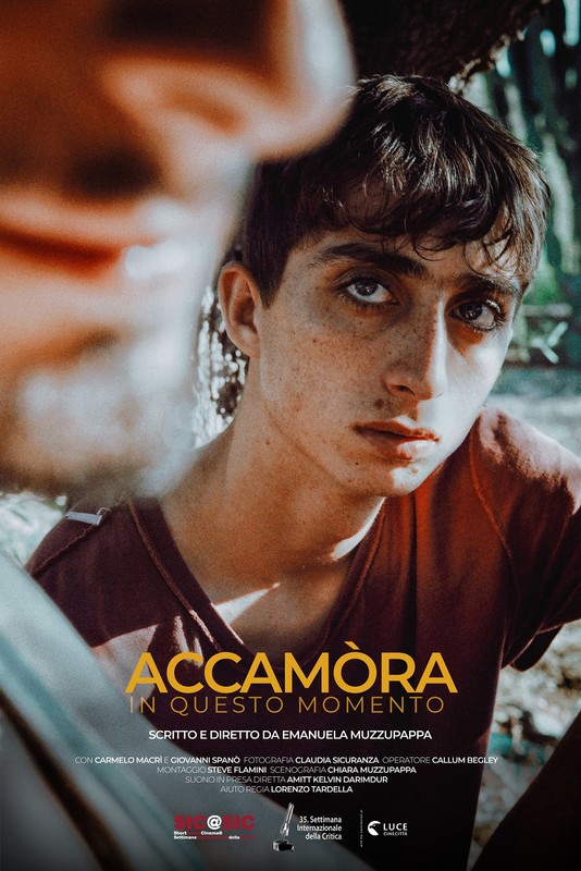 ACCAMORA