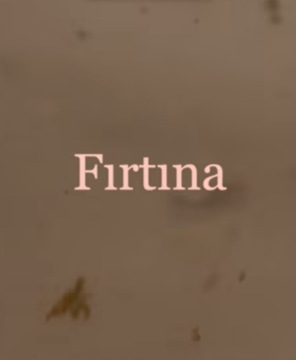 FIRTINA